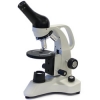 3050 Series Microscopes