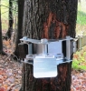 Tree mount winch anchor with strap