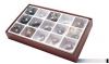 General Fossil Collection