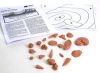Fossil Laboratory 