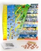 Life on Earth -  A Fossil History Model