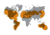 GlobalStar Coverage-Voice/Data Map