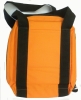 Padded Prism Case- FREE