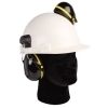 Safety Helmet Hearing Protection