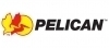 Cases, Pelican