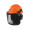 Safety Helmet Forestry Kit - Helmet, Visor and Ear...